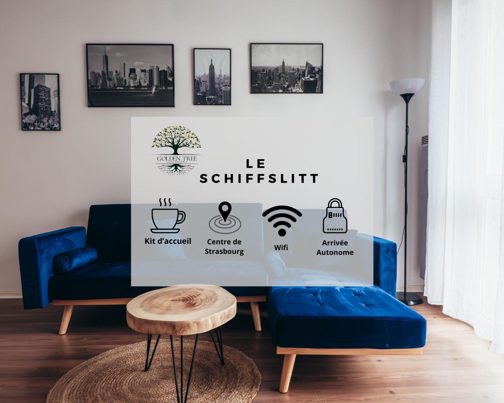Апартаменты Le Schiffslitt - Hyper-Centre, Proche Des Quais Страсбург Экстерьер фото
